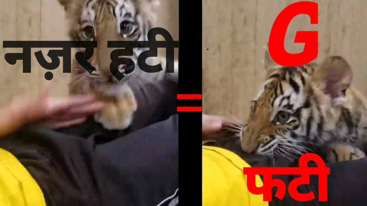 Unexpected Endings And Unseen Funny Moments - YouTube