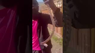 MARLOW P GET CHAIN ROBBED BY FREDO #marlowp #fredo #leak #newmusic #trending #tiktok