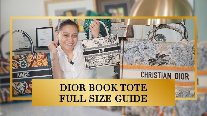 DIOR BOOK TOTE REVIEW & SIZE COMPARISON WITH HERMES GP30 (ZOOMONI
