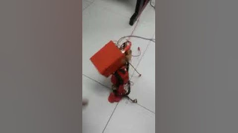 ROFI get up test - part 2