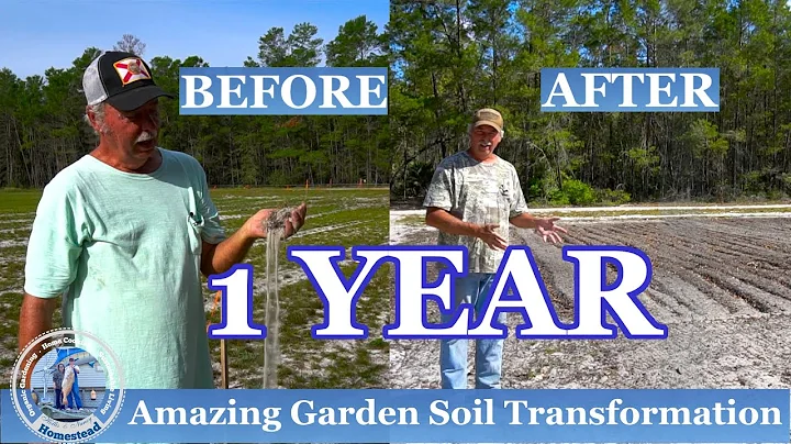 1 YEAR l Amazing Garden Soil Transformation l UPDATES! Amending the Soil