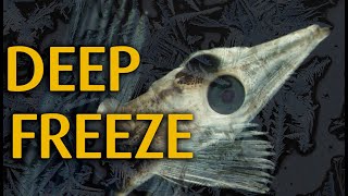 The Fish Who Stayed Out In The Cold