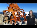 홍게 무한리필 브이로그 :: 뚝배기 전복 해물탕, 오션뷰 속초카페, 홍게 무한리필 먹방