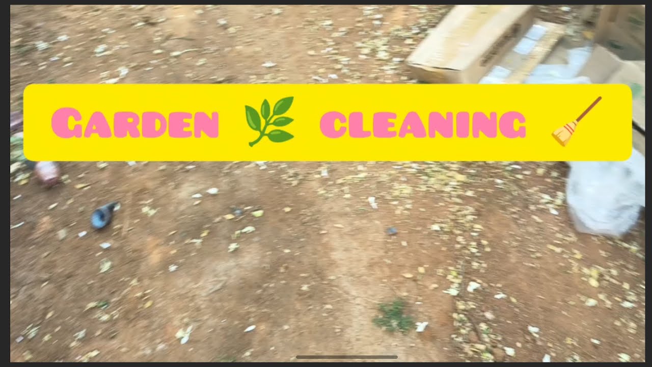 Garden dry leaf cleaning vlog 🧹🌿