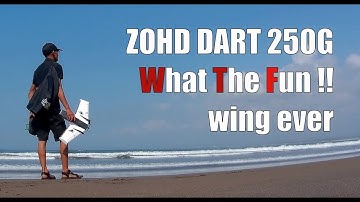 ZOHD Dart250G - WTF Wing ever