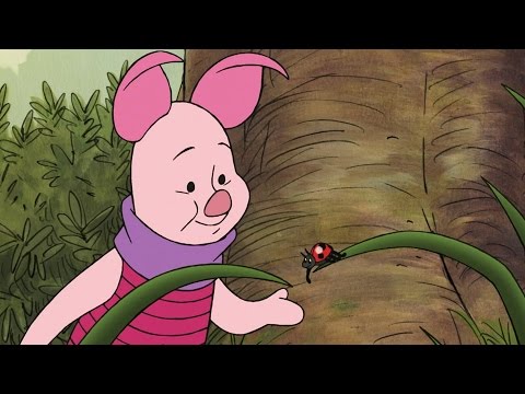 If I Wasn't So Small | The Mini Adventures of Winnie The Pooh | Disney