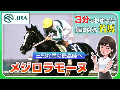 【中古】 メジロラモーヌ物語 初の牝馬三冠/三恵書房/大寺駿 Yahoo!オークション - 競馬 メジロラモーヌ物語 河内洋 三恵書房