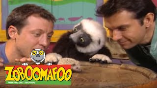 Zoboomafoo 210  Families Game  Episode