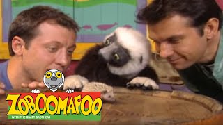 Zoboomafoo 210 - Families Game (Full Episode)