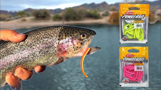 How to Fish Berkley Powerbait Trout Worms to catch Tons of trout! 