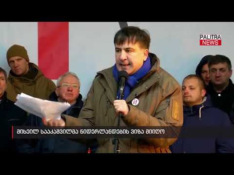 მიხეილ სააკაშვილმა ნიდერლანდების ვიზა მიიღო