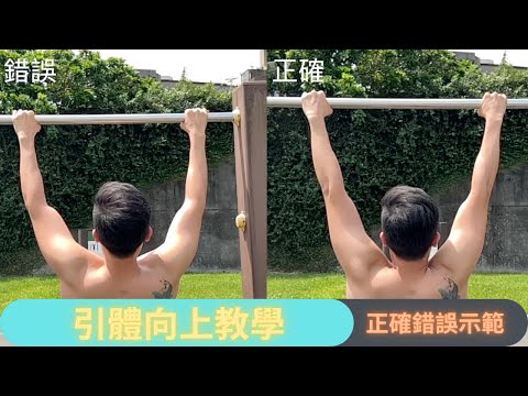 動作教學系列：引體向上 教學｜正確及錯誤示範｜引體向上好處