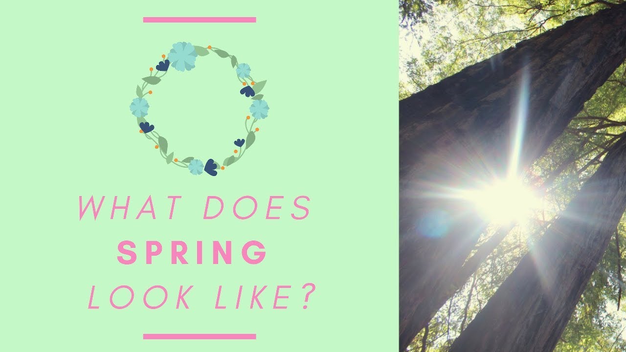 🌼 What Does Spring Look Like? - YouTube