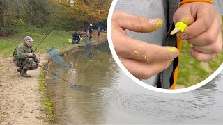 Trout Fishing Day At The Closing Of The Cilly Ponds Part 2