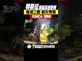 特斯拉車輛事故