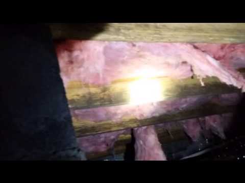 knoxville-home-inspector-finds-plumbing-leak-in-crawl-space