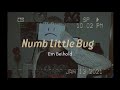 [Lyrics + Vietsub] Numb Little Bug || Em Beihold