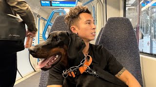 Taking my Dog on a Train (First time ever)