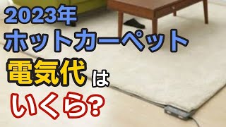 【東京電力】ホットカーペットの電気代がいくらになるのか解説します！