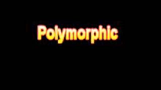 What Is The Definition Of Polymorphic Medical School Terminology Dictionary