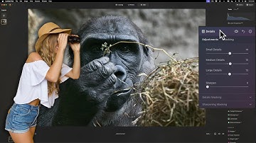 When & How to Use Structure AI & Details in Luminar Neo