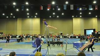 Level 10 Bars Scored Routines