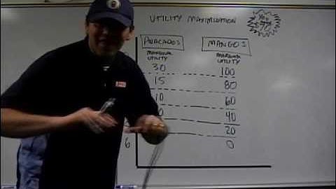 (Old Version) Utility Maximization: Diminishing Marginal Utility