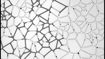 Water-oil displacement in microfluidic porous media models - Part One