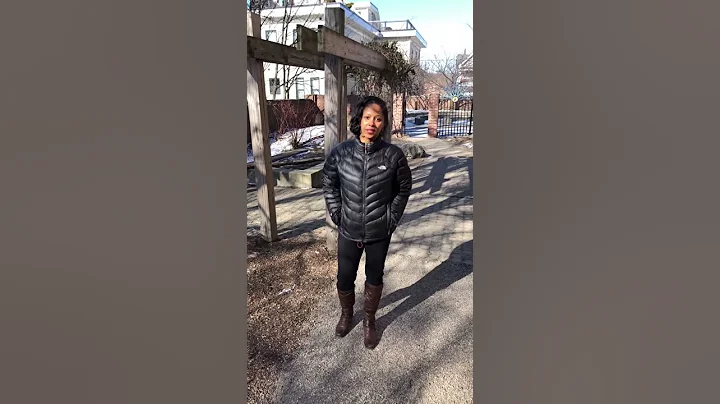 Patagonia Sample