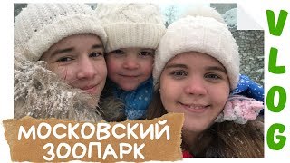 В МОСКОВСКИЙ ЗООПАРК ВСЕ ВМЕСТЕ  VLOG