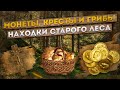 Монеты, кресты и грибы. Находки старого леса.