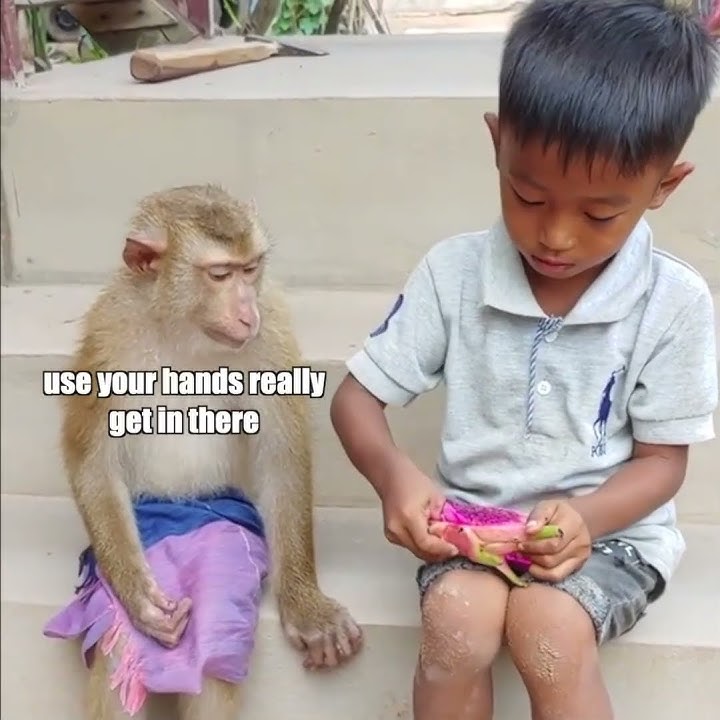 Monkey vs Fruit