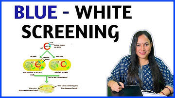 BLUE WHITE SCREENING I Biotechnology | Recombinant DNA Technology RDT