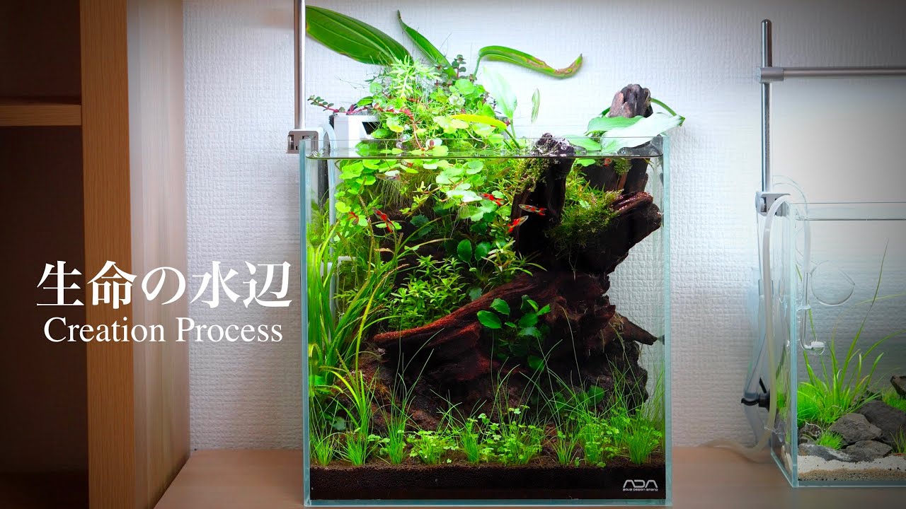 「生命の水辺」/Nano Aquascape Creation Process