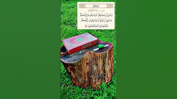 سورة البقرة الآية 216 #القرآن_الكريم #سورةالبقرة #quran #الحمدلله
