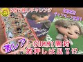 【開封動画】Tiny TAN　GUMMIステッカー開封＆紅茶花伝で貰えるクリアファイル紹介