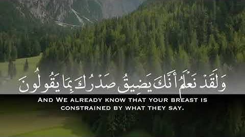 آيات الطمأنينة بصوت القارئ عماد محمود