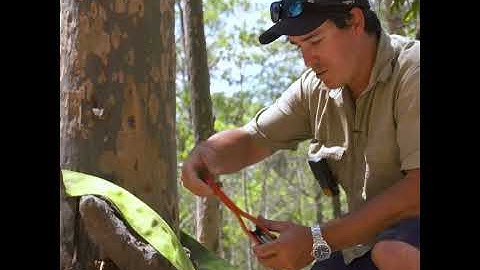 A Hercules Complete Recovery kit gets the boys out of trouble again!