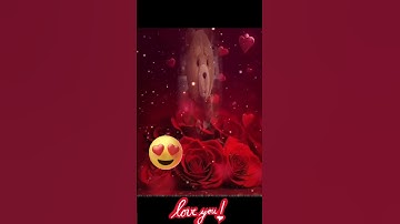 Thumbnail of CHAYANNE - 🌹💌YO TE AMO ❤️👑#shortsfeed #shortvideo #love #passion