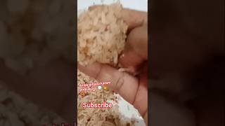 అన్నం 🥵🌶🧄 #comedy #video #funny #whatsappstatus #subscribe #yt #food #trending #love