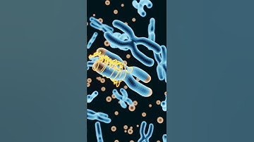 What is Genetic Code?