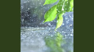 Celestial Theta Waves, Rain Pet Oasis