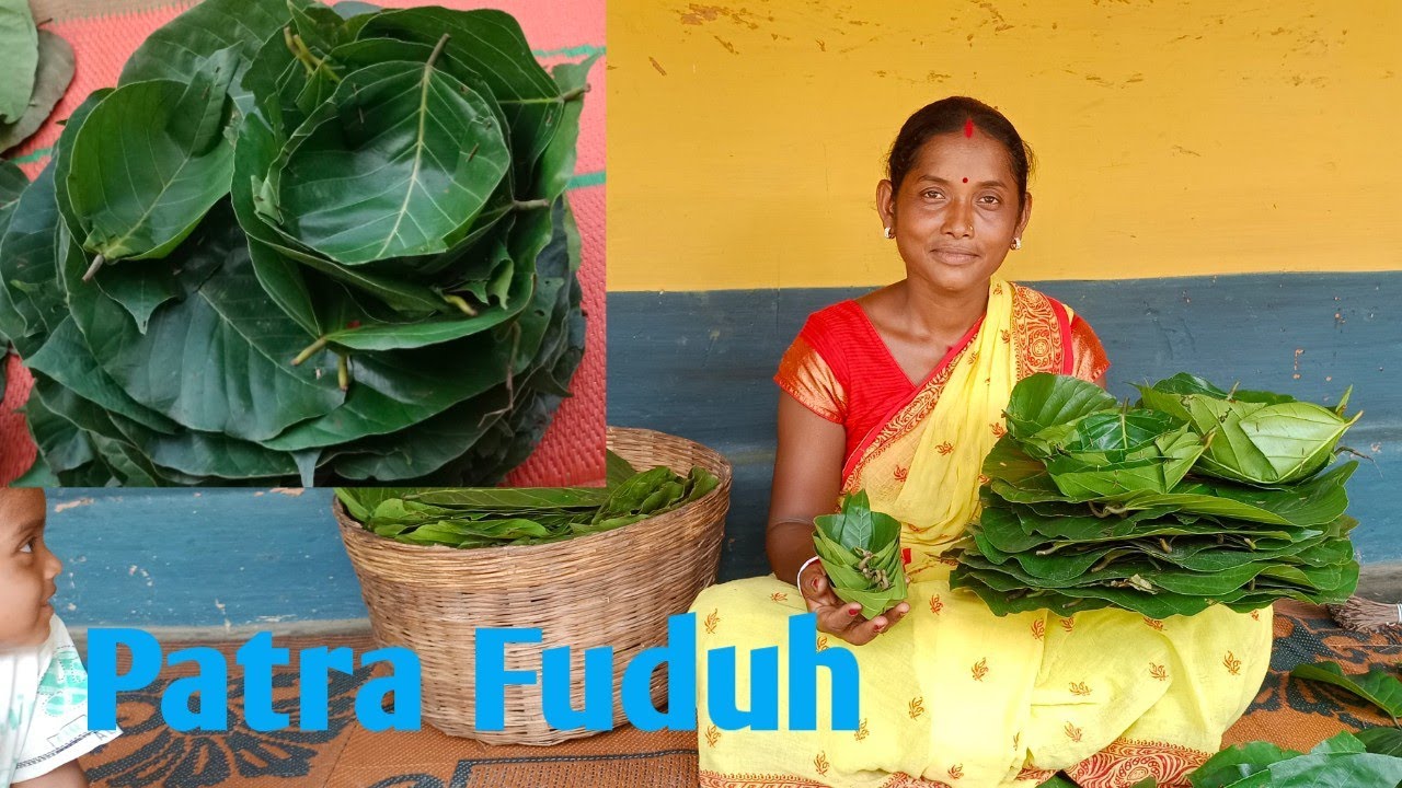 🌱🌿Сарджом Сакам Патра Фудух бенау🌿🌱#santalivlog#vlogno16#lukhimurmuvlog