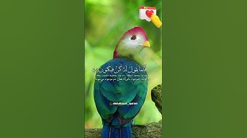 قرآن كريم بصوت القارئ عبد الباسط عبد الصمد #قرآن #تلاوة_خاشعة #explore