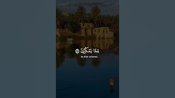 #خالد_الجليل #quran #تلاوة_خاشعة #اسمع_بقلبك #دويتو #اكسبلور
