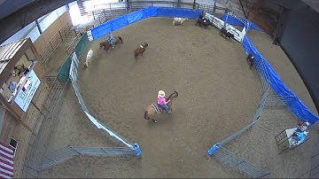 Big Sky Ranch Sorting Saddle Series #4 - #3 SORT - Round #1 - Ride #23