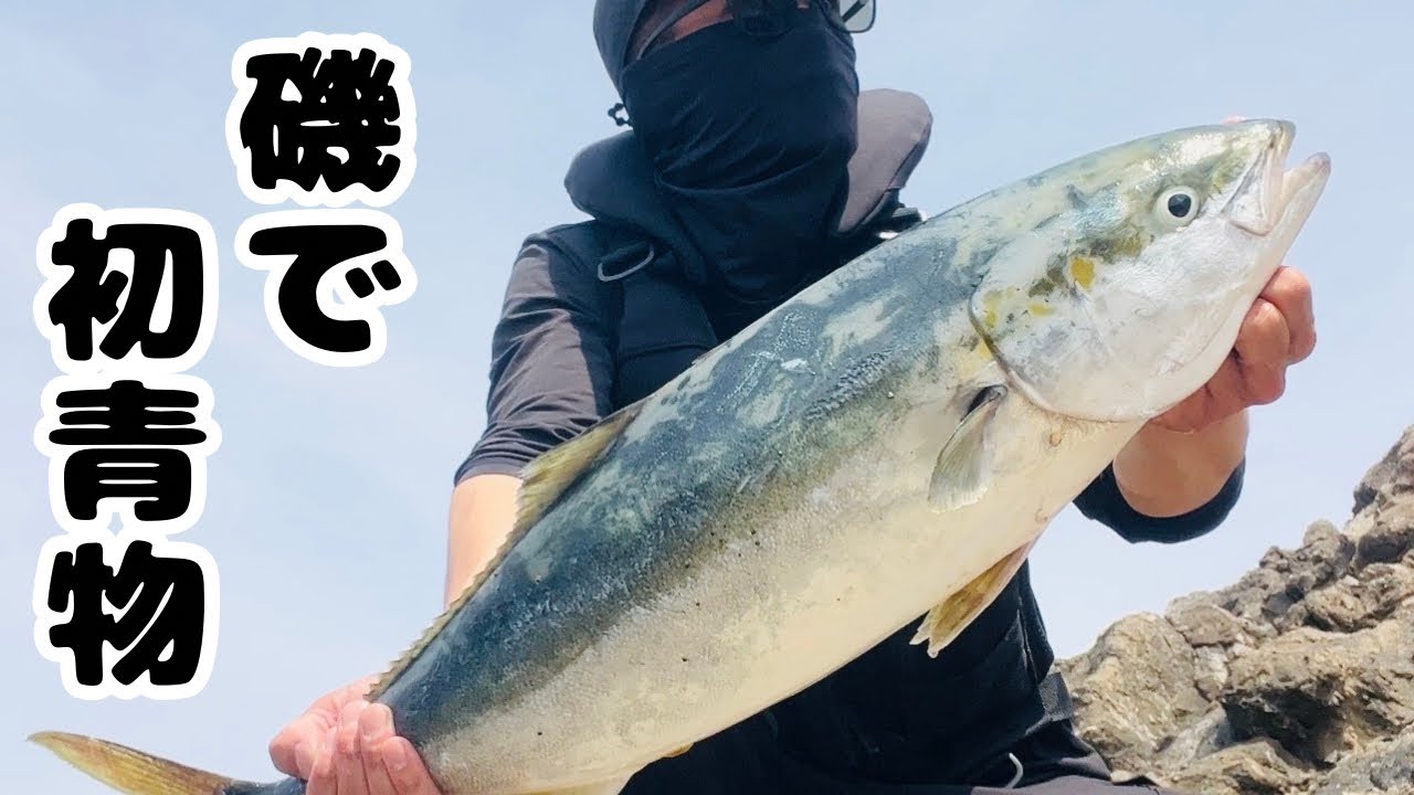 ロックショア初の青物 磯は楽しすぎる。 - YouTube