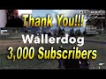 3k subscriber thank you  wallerdog gaming channel