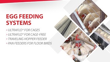 Chore-Time Egg Feeding Systems
