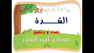 (17) الشدة وتحليل الحرف المشدد // أولى ابتدائي// الترم الثاني